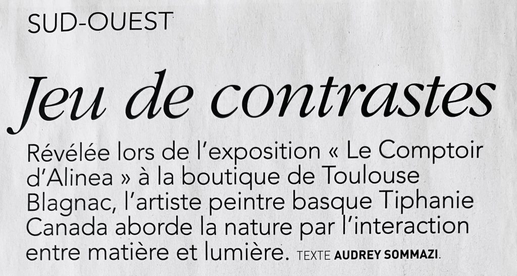 extrait article Tiphanie Canada Art & Décoration