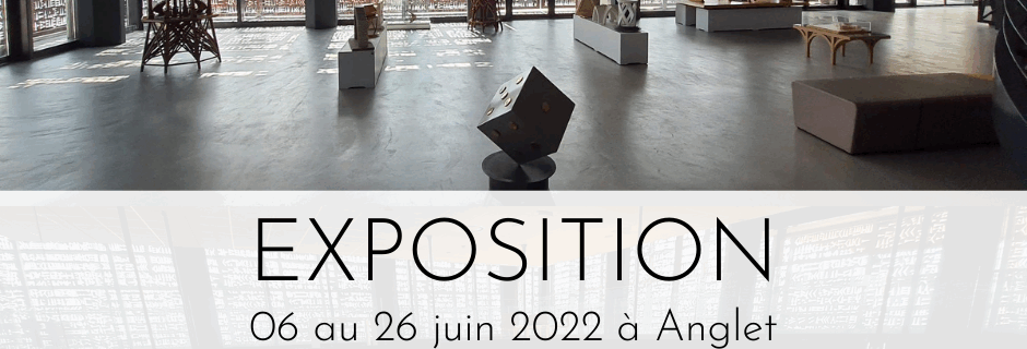 affiche exposition compagnons de france à Anglet