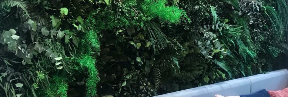 mur végétal dans le lobby de l'hôtel Ibis Ciboure Saint-Jean-de-luz