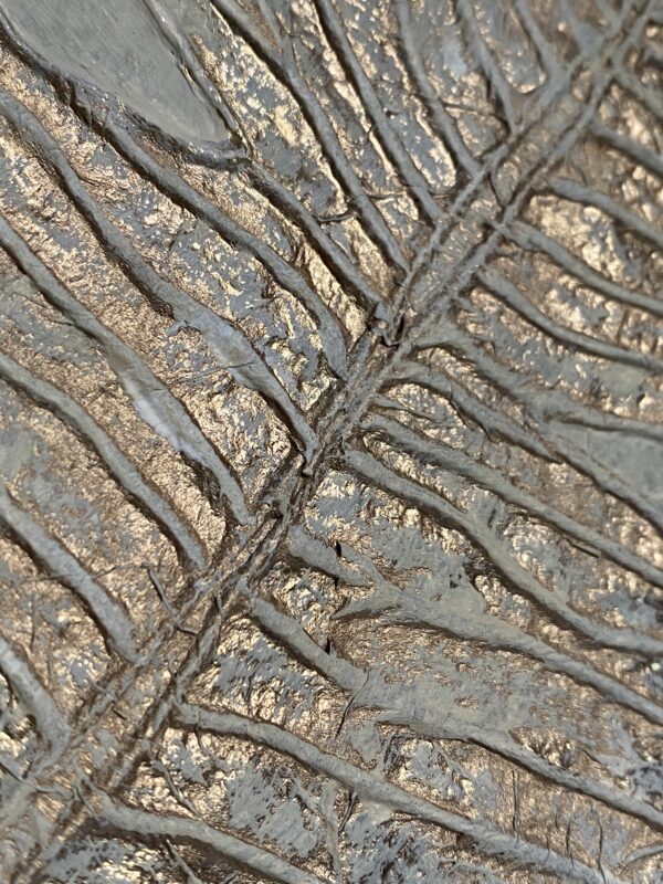 Fossil Leaf – Image 4