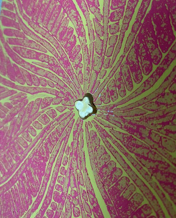 Impression jaune & magenta – Image 2